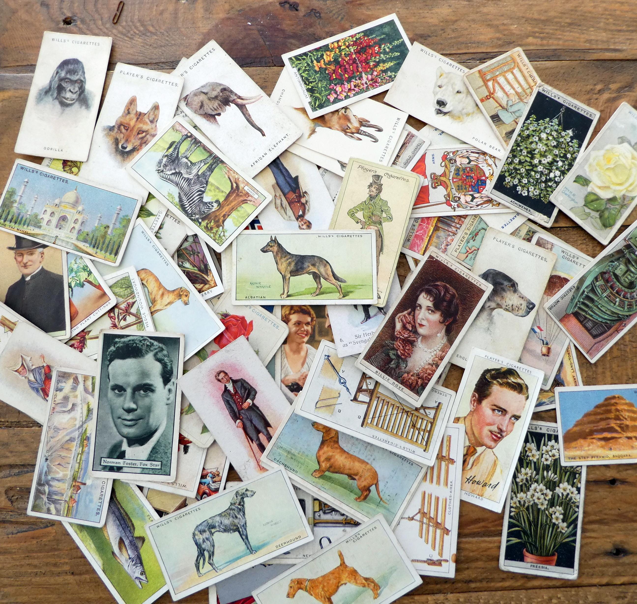 cigarette cards 1930s Vintage German Palmn Hockey und Rugby (6) Serie Vintage Collectible Cigarette Cards 1930s