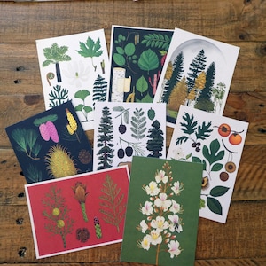 Lot de 10 cartes postales Arboretum, Jardins botaniques royaux de Kew, Cartes postales de bienvenue au musée