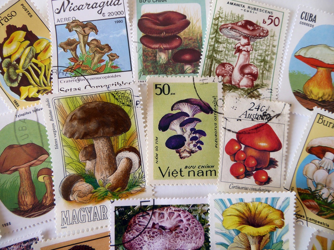 25 Mushroom Postage Stamps Mixed Lot - Etsy