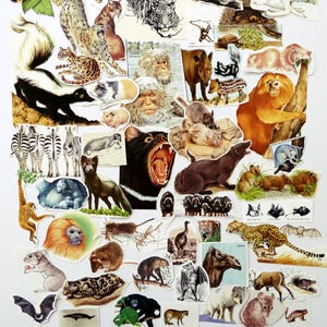 Vintage paper animals pack, 50 paper clippings of animals