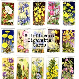 50 Wildflowers 1936 cigarette cards, Instant Download, Printable PDF