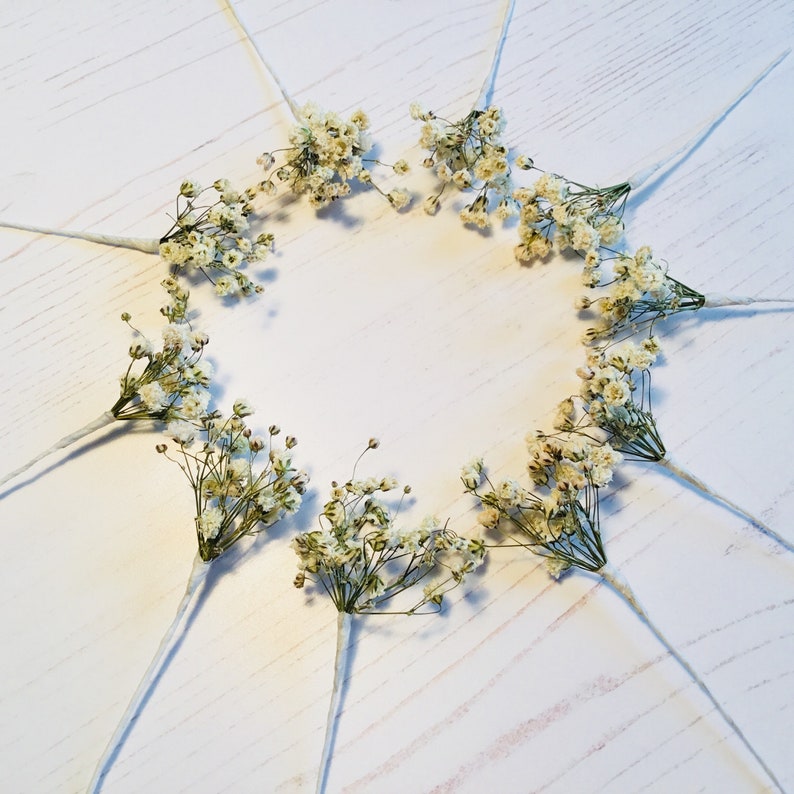 Dried flower hair pins PASIPHAE Gypsophila babys breath wedding image 8