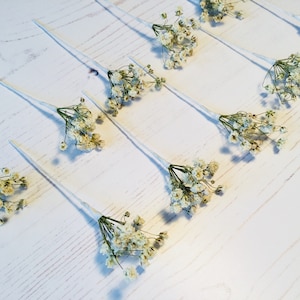 Dried flower hair pins PASIPHAE Gypsophila babys breath wedding image 7