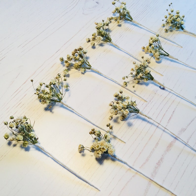 Dried flower hair pins PASIPHAE Gypsophila babys breath wedding image 9