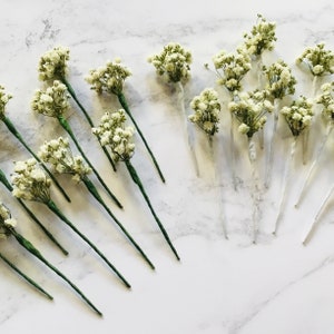 Dried flower hair pins PASIPHAE Gypsophila babys breath wedding image 6