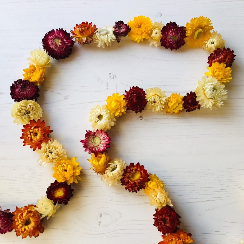 Dried flower garlands PINK strawflower wedding home and Etsy