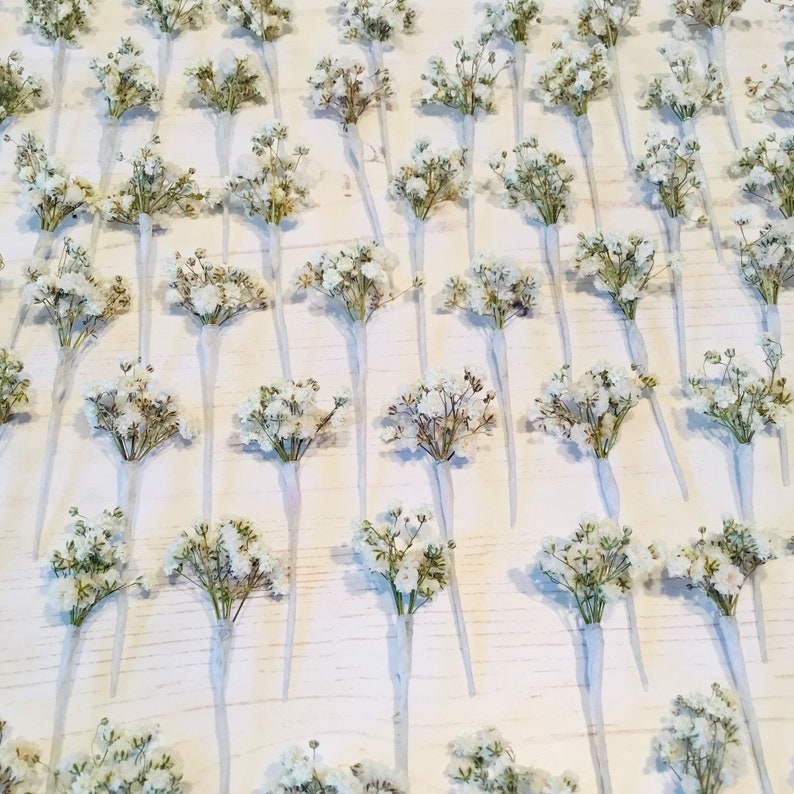 Dried flower hair pins PASIPHAE Gypsophila babys breath wedding image 1