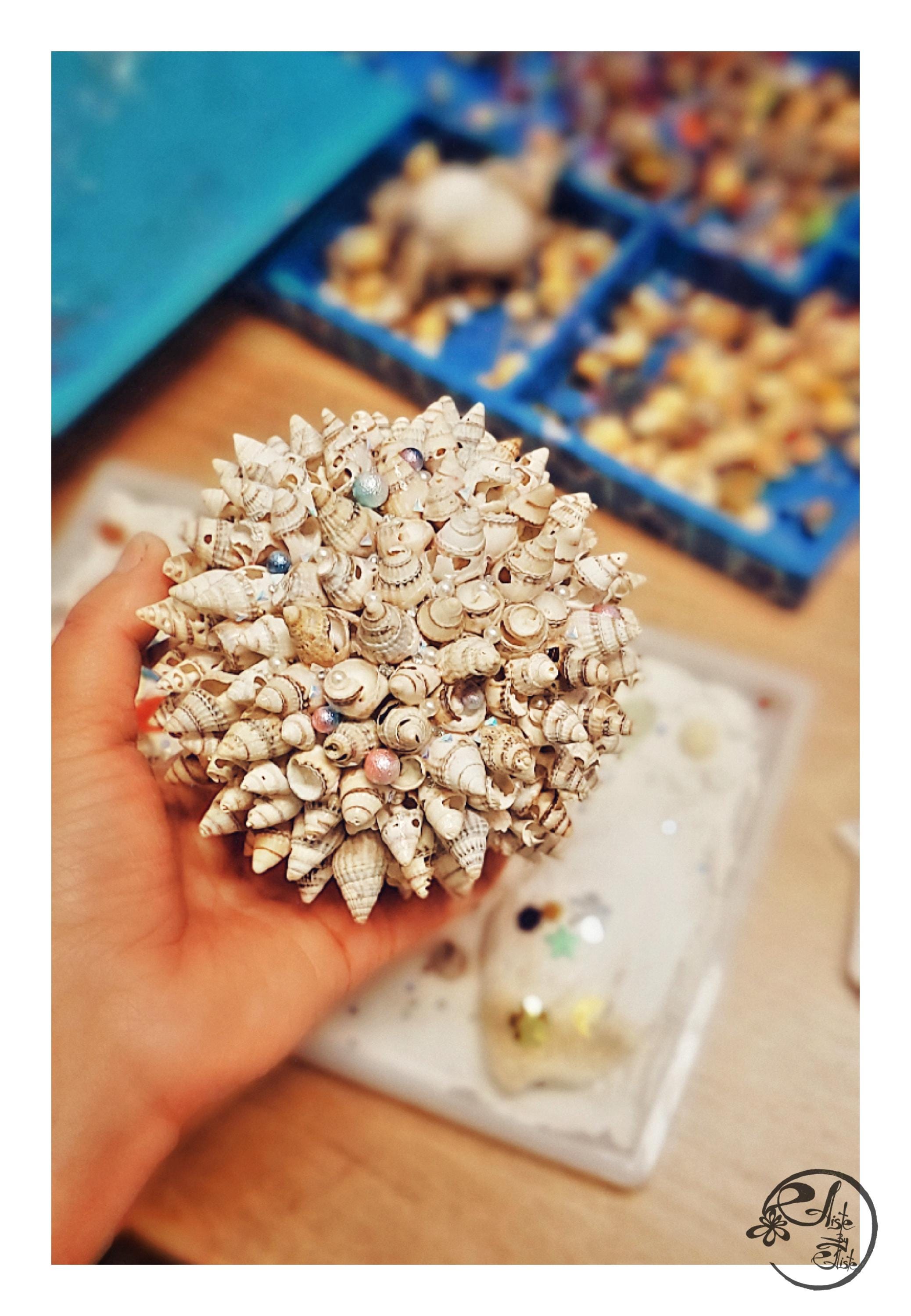 Handmade Shells Ornament, Table Decor, Seashells Deco, Ornament, Unique ...