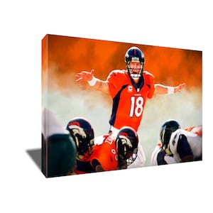 FREE SHIPPING Peyton Manning Omaha Omaha Hurry Hurry Poster Photo Painting Artwork on Canvas Art