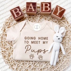 Going home to meet my pups Embroidered Dog Name Onesie® Protected By Dog Name, Pregnancy Announcement Personalized Gifts for Newborn,