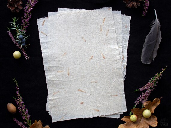 Spell Paper Reed With Daisy Petals A5 Plant Fibers Etsy