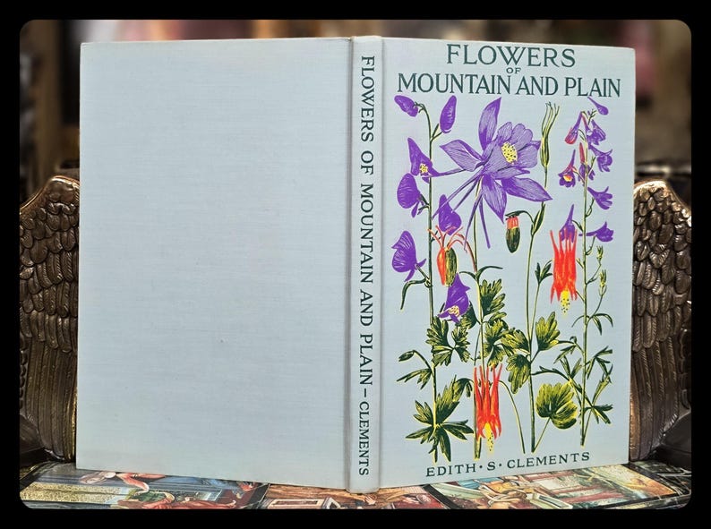 1949 Botanical Art Book: 