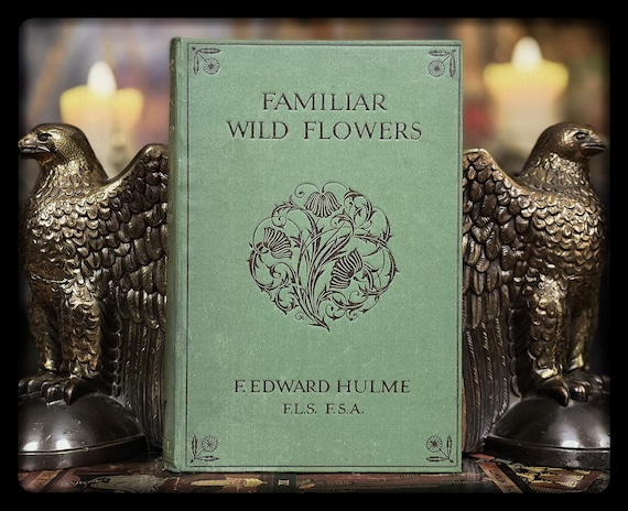 超希少 1876年 アンティーク WILD FLOWERS 手彩色 大型本 1892 Victorian Wildflower Book, Hulme's Botany, Antique Floral Art
