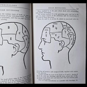 1938 Everybody's Book of Fate and Fortune Occult Astrology Numerology Metaphysical Herbal Lore