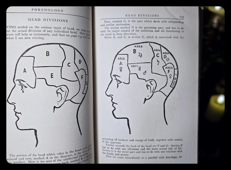 1938 Everybody's Book of Fate and Fortune Occult Astrology Numerology Metaphysical Herbal Lore