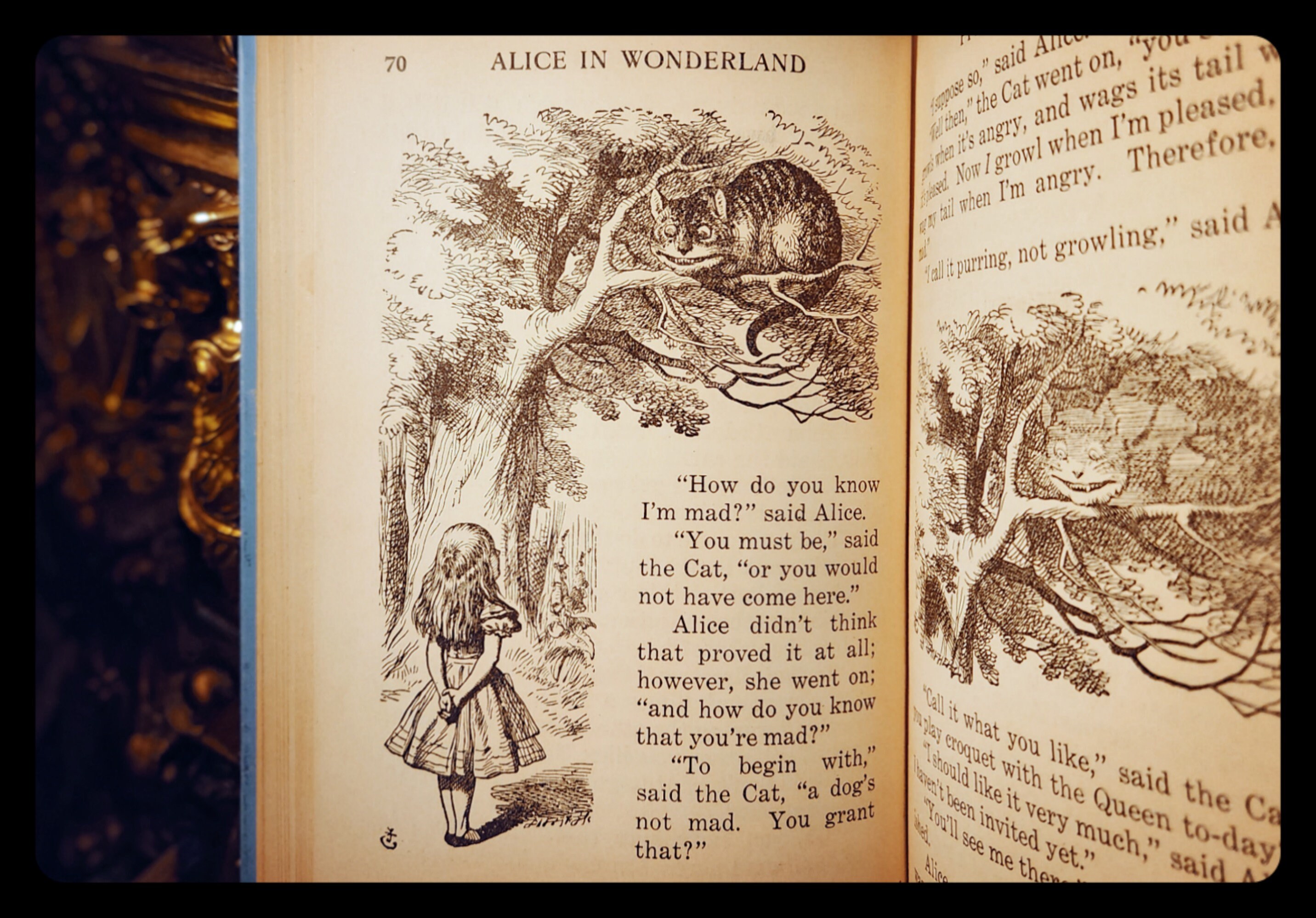 1923 Alice in Wonderland Book 1st Edition Thus Through the Looking