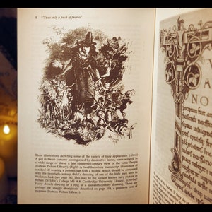 FAIRIES REAL ENCOUNTERS Mythology Ufo's Elves Spirits Other Realms - Etsy