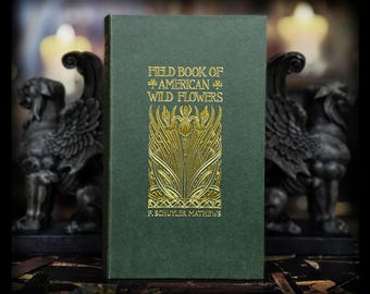 1924 Book of Wildflowers Botany Apothecary Flower Antique Vintage
