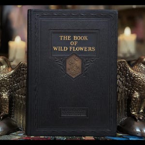 1924 BOOK OF WILDFLOWERS Botany Apothecary 250 Illustrations Plant Identification Flower Gift Antique Vintage Botanical National Geographic