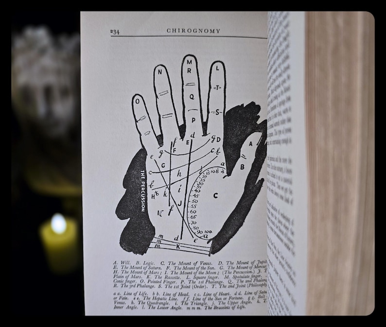 1938 Everybody's Book of Fate and Fortune Occult Astrology Numerology Metaphysical Herbal Lore