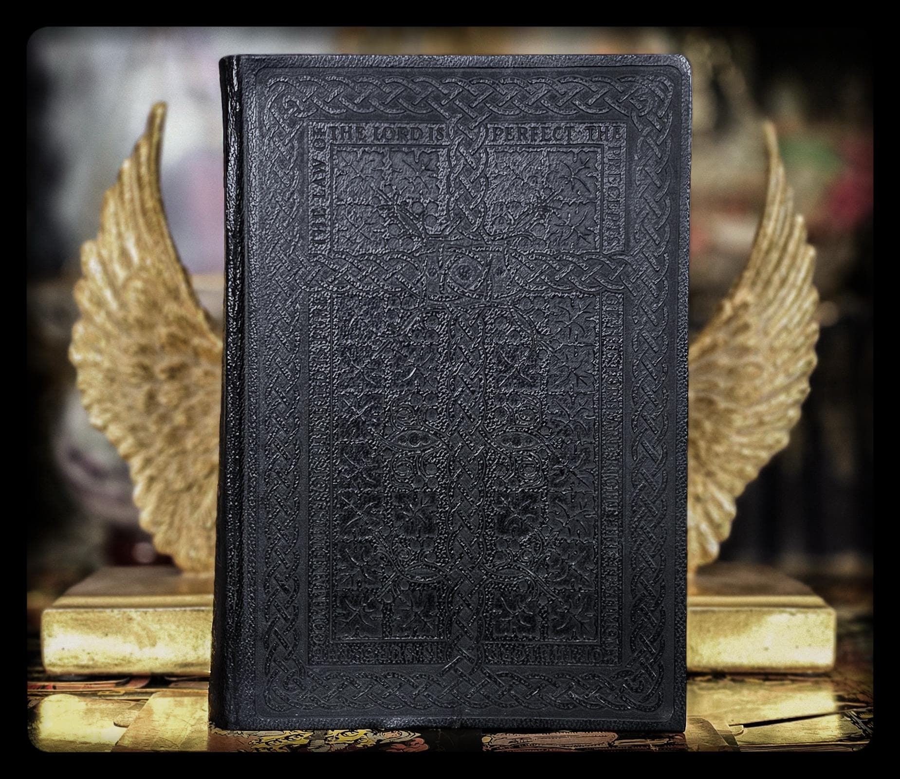Illuminated Holy Bible: Leonardo Da Vinci Art, King James Version