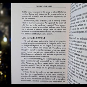 Reincarnation Occult Rosicrucian Metaphysical Spiritual Alchemy Book Vintage Egyptian Mythology Past Lives Life After Death Druids Esoteric