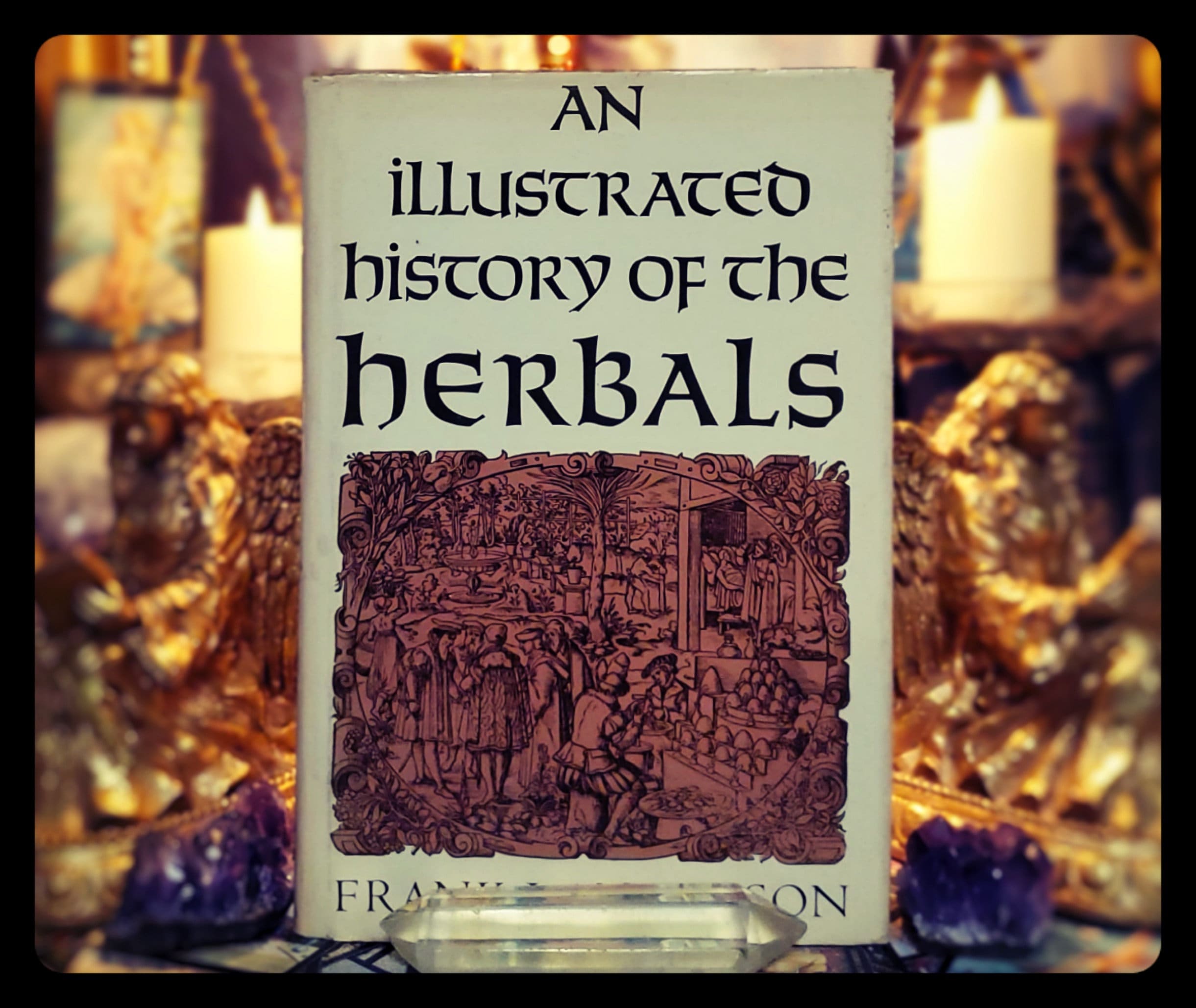 ハーブ占星術 Amazon.co.jp: 占星医術とハーブ学の世界: ホリスティック医学の