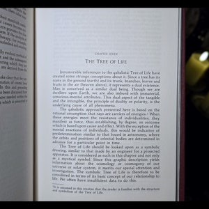 Pode incluir: Uma p&aacute;gina de um livro intitulado "A &Aacute;rvore da Vida" que discute a &Aacute;rvore da Vida cabal&iacute;stica. O texto descreve a &Aacute;rvore da Vida como uma representa&ccedil;&atilde;o simb&oacute;lica da exist&ecirc;ncia dual, com ra&iacute;zes no solo e ramos que se estendem para os c&eacute;us.