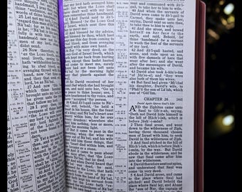 聖書 欽定訳聖書 旧約聖書 新約聖書 霊的書 モーセ アンティーク
