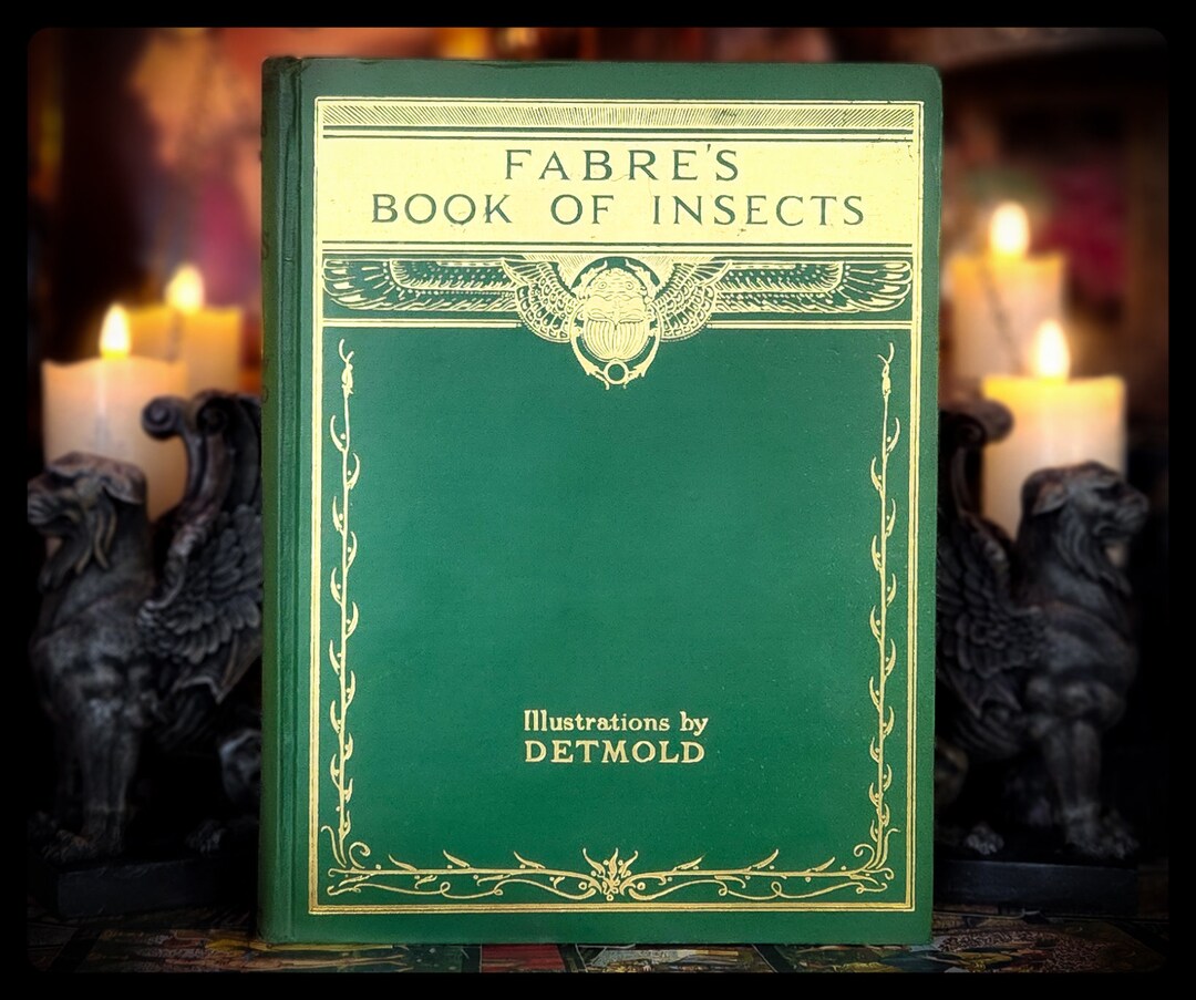 1936 Fabre's BOOK OF INSECTS Entomology the Natural World Book Antique ...