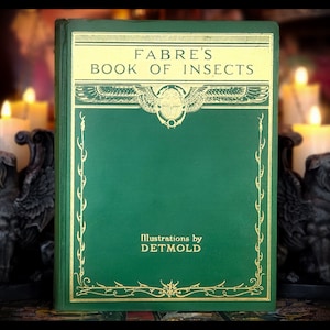 1936 Fabre&#39;s BOOK OF INSECTS Entomology The Natural World Book Antique Vintage