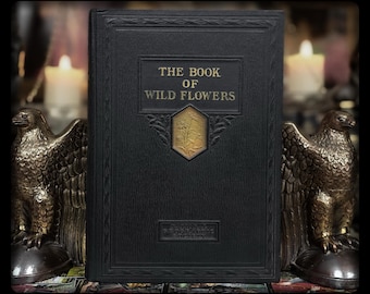 1924 BOOK OF WILDFLOWERS Botany Apothecary Art Artwork Plant Identification Flower Gift Antique Vintage Botanical National Geographic