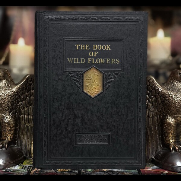 1924 BOOK OF WILDFLOWERS Botany Apothecary Art Artwork Plant Identification Flower Gift Antique Vintage Botanical National Geographic