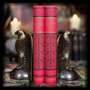 May include: Two red hardcover books titled "Manual of Practical Hygiene" by Parkes, Volume I and Volume II, are held upright by two bronze eagle bookends.