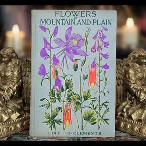 1949 BOOK OF FLOWERS Botany Apothecary book Botanical Art Antique Plant Identification Ecology Vintage Flower Book Stunning Artwork Gift