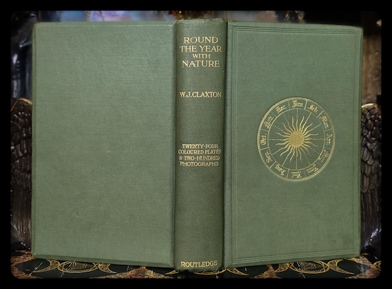洋書古書1911年発行美しい植物画満載 大変希少な分厚いアンティーク植物図鑑 1911年版アンティーク植物学書：英国版、博物学図版 - Etsy 日本