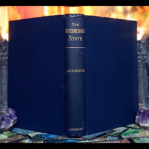 1892 Life After Death Book The Intermediate State Spiritism the Spirit World Antique Metaphysical Book Occultism Literature Heaven Afterlife
