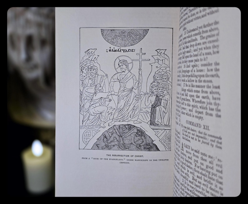 1963 Lost Books of The Bible Forgotten Eden Spiritual Book Occult Old New Testament Jesus