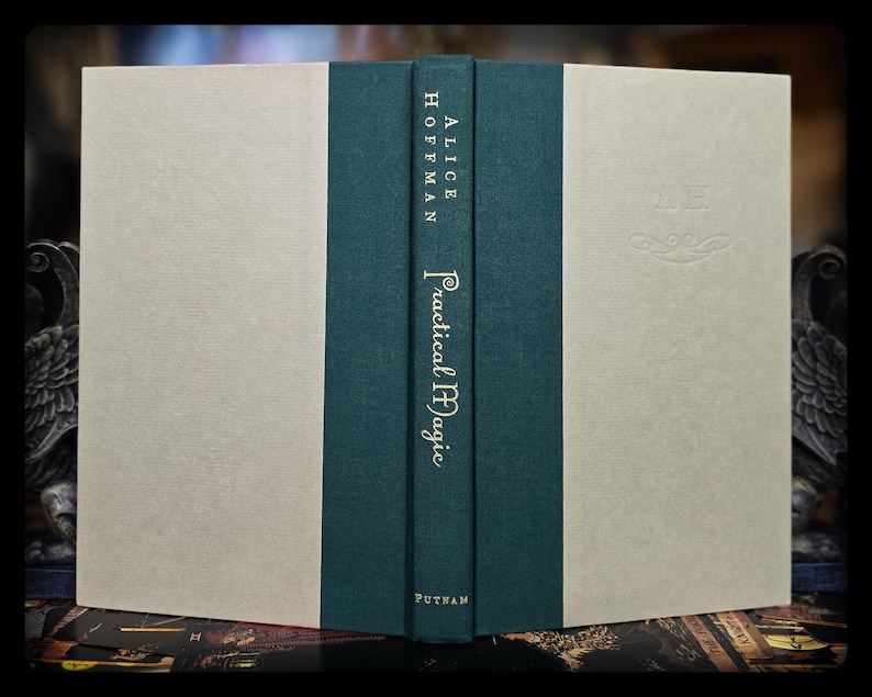 Practical Magic 1st Edition 1st Printing Witchcraft Occult Magic Book Vintage Esoteric Clairvoyance Supernatural Witch Gift Alice Hoffman
