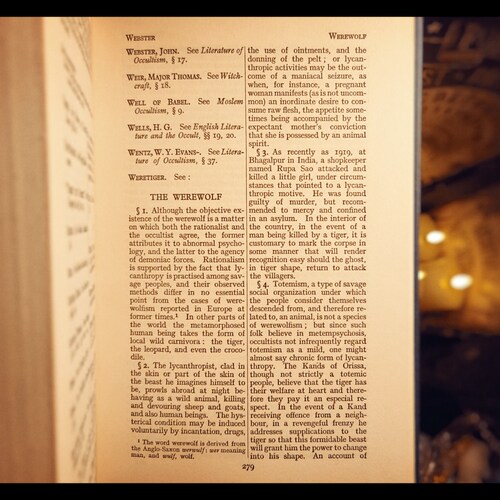 THE OCCULT Astrology Divination Witchcraft shops Fairies Julian Franklyn Dictionary of the Occult