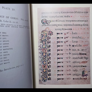 Illuminated Book of Kells Celtic Art Spiritual Book Religious Bible Jesus Christ