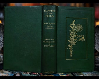 1907 FLOWERS Botany Apothecary book 337 Illustration with 92 in Color Gorgeous