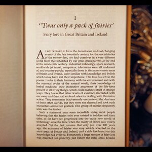 FAIRIES REAL ENCOUNTERS Mythology Ufo's Elves Spirits Other Realms - Etsy