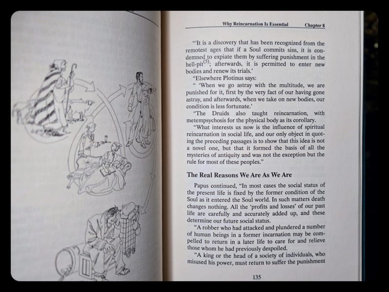 Reincarnation Occult Rosicrucian Metaphysical Spiritual Alchemy Book Vintage Egyptian Mythology Past Lives Life After Death Druids Esoteric