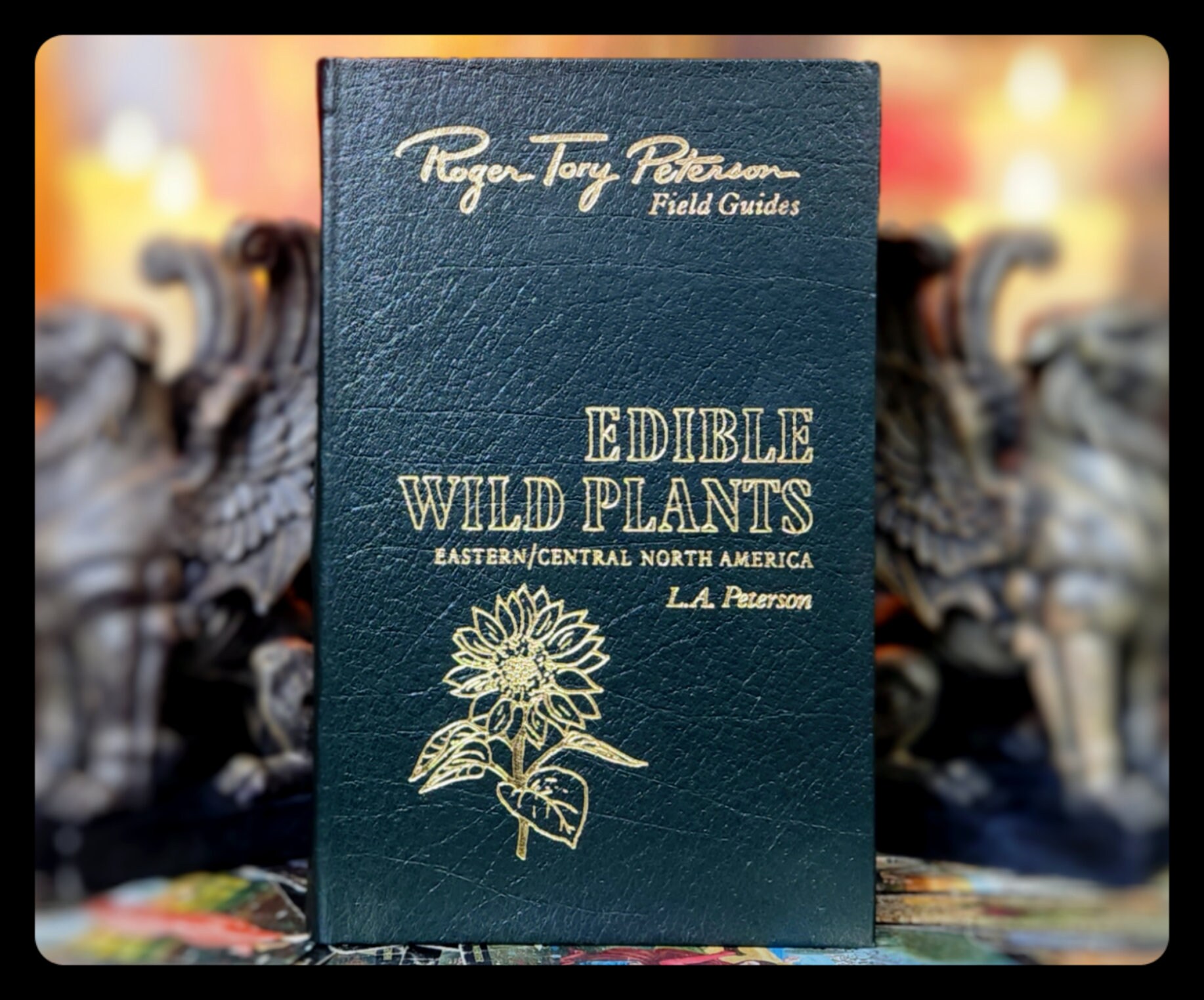 fertilizer for green plants Houseplant Fertilizer  The Groovy Plants Ranch LLC