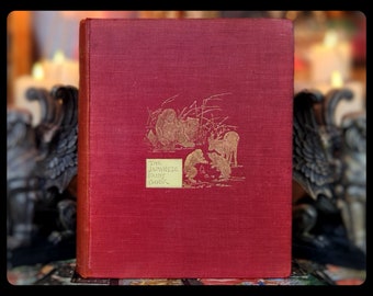 1903 Japanese Fairy Tale Book, 1st Edition, Illustrated Mythology