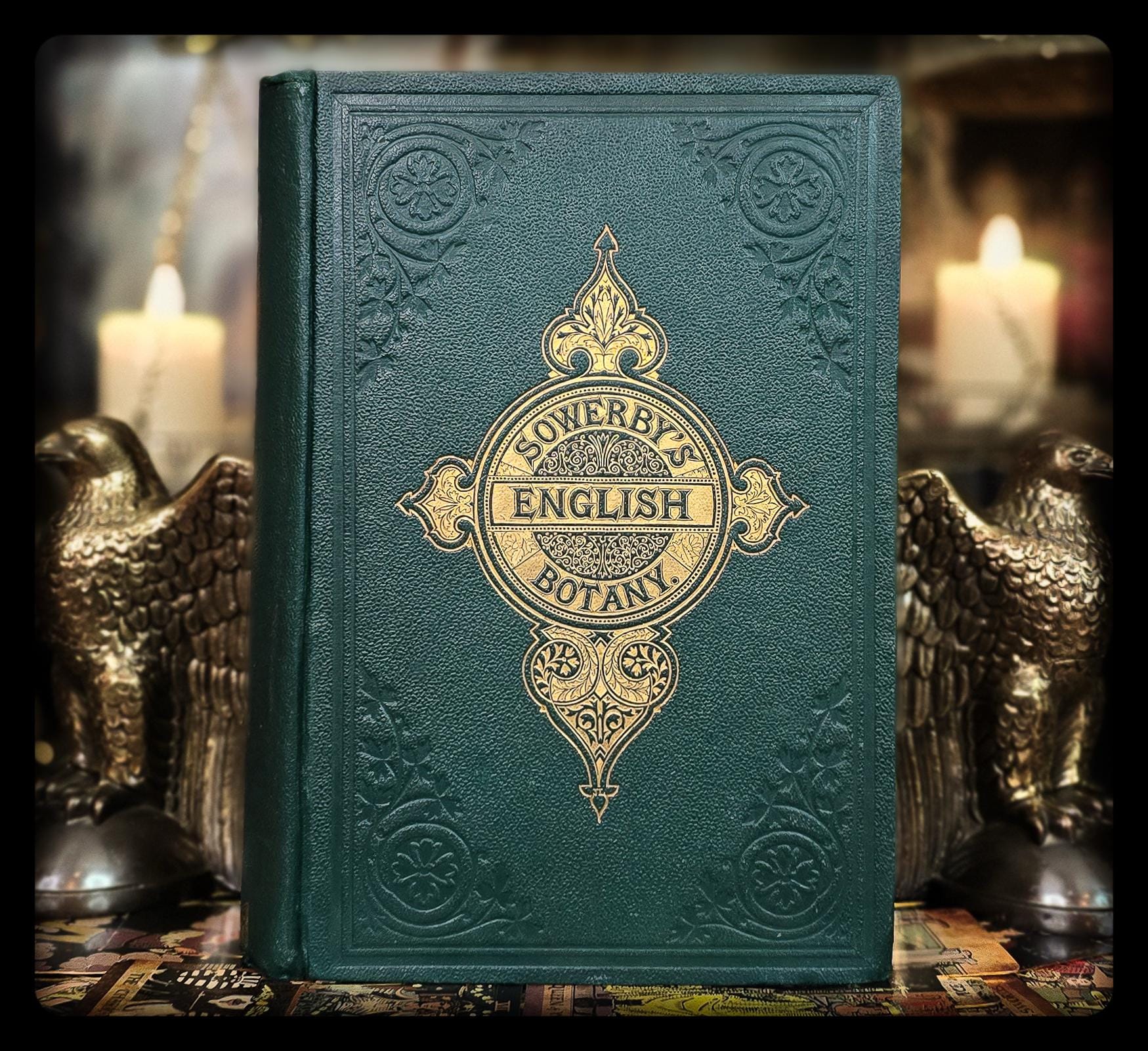 L833洋書古書 【1852年発行】大変希少なイギリスのアンティーク植物