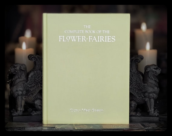 FLOWER FAIRY BOOK Fairies Vintage Fairy Tale Book Winter Summer