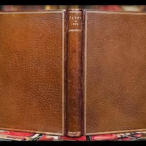 Livre d'EDGAR ALLAN POE 1885 The Raven Poetical Works « Very Rare » livre de poèmes de poésie vintage antique Edgar Allen Poe Lenore The Bells Art Gift