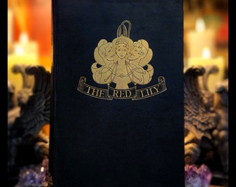 1930 THE RED LILLY Book French Art Nouveau Deco Novel Art Deco Artwork Romance Novel Metaphysical Occult Book Collectors Anatole France